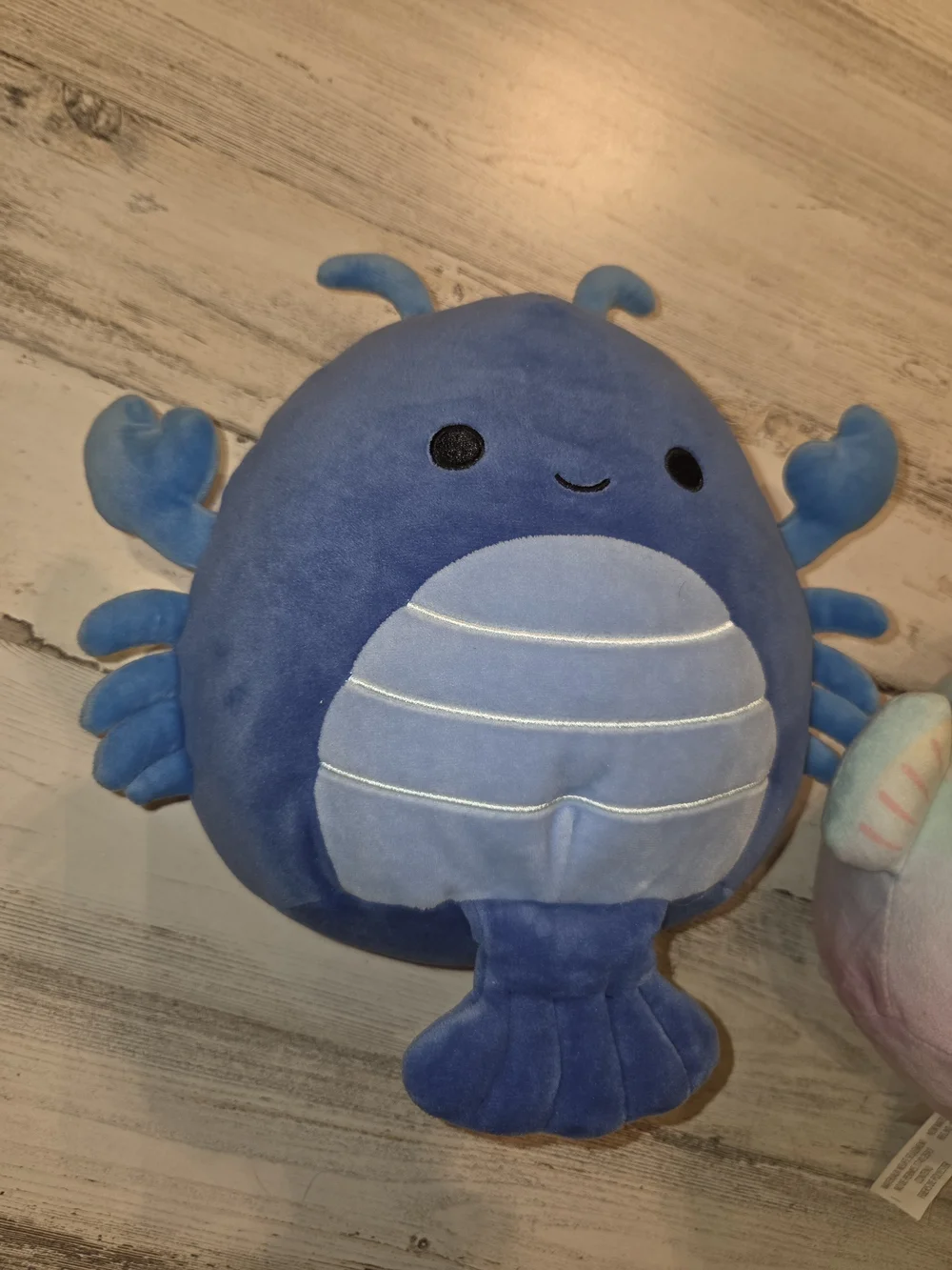 Squishmallows Blue Crab & Pastel Rainbow Fish Plush Duo Lobert & Canda Lot Of 2